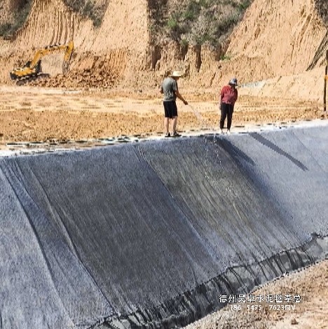 鱼塘虾池甲鱼塘护坡水泥毯